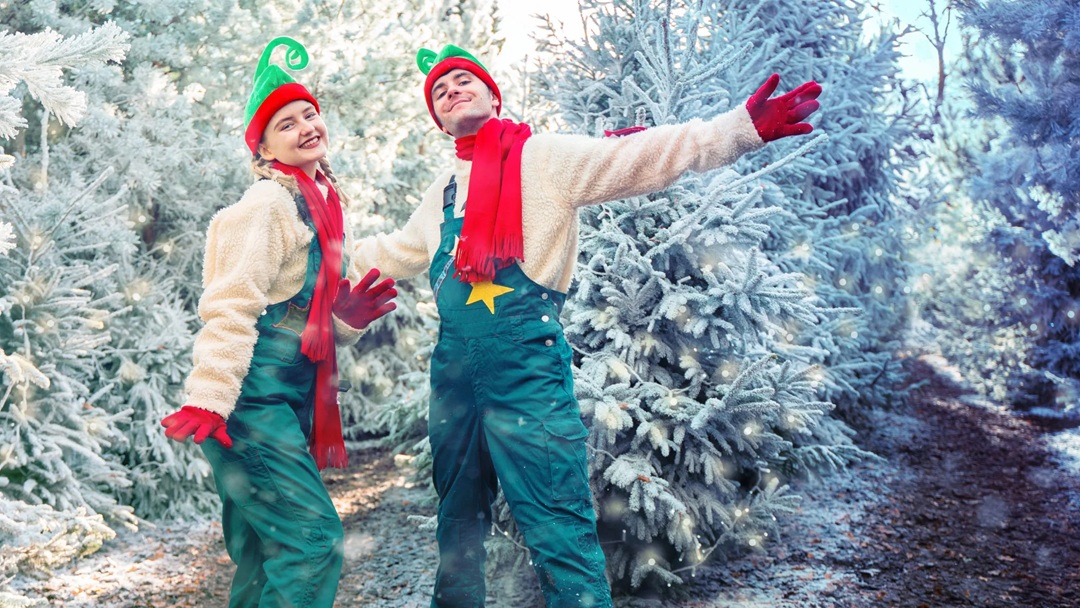 Chessington Winter's Tail